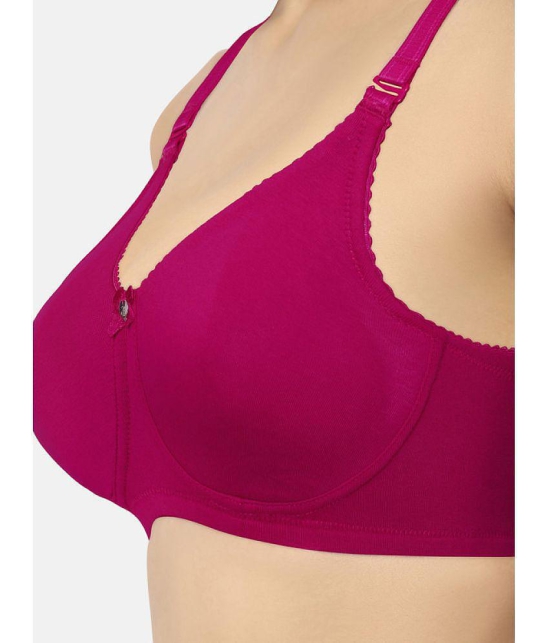 Amante - Pink Cotton Non Padded Women's Everyday Bra ( Pack of 1 ) - None