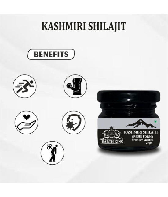 EARTH KING Kashmiri Shilajit Resin | Raw Shilajit  (Semi Liquid) - 40Gm (Pack of 2)