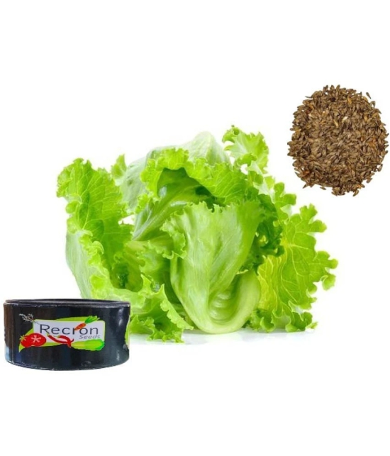 Recron Seeds Lettuce Vegetable ( 100 Seeds )