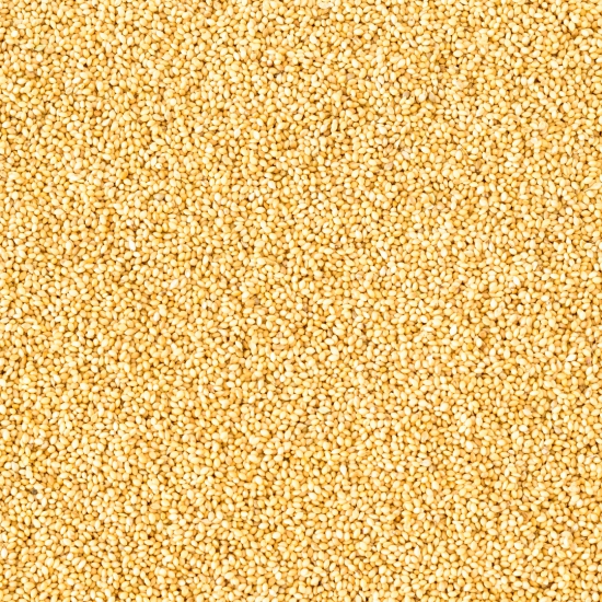 Organic Foxtail Millet 1 kg