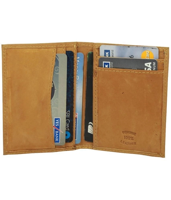 STYLE SHOES - Leather Travel Card Holder ( Pack 1 )