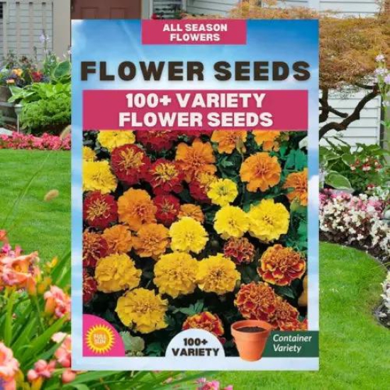 Multiple Variety Of Flower Seeds-Pack of 200 Seeds @ 699?