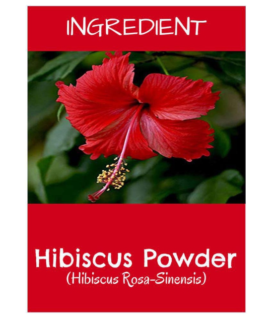 MR Ayurveda 100% Herbal Hibiscus Powder Hair Scalp Treatment 200 g Pack of 2