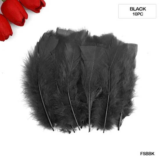 Feather Soft Big Black (Fsbbk) (10Pcs)  (Pack of 6)