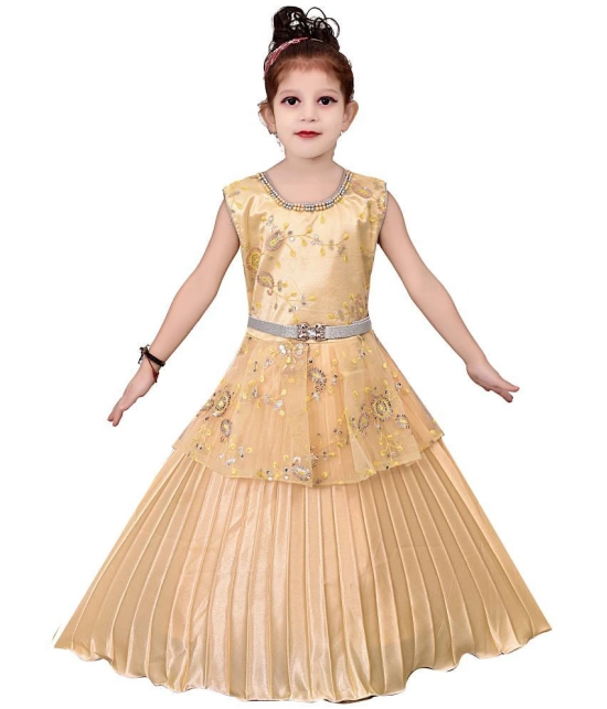 Arshia Fashions Girls Gown Dress for Kids - None