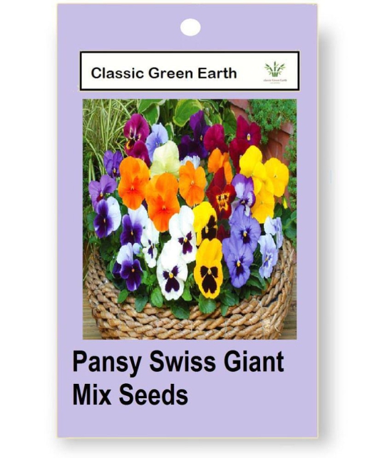 CLASSIC GREEN EARTH - Pansy Flower ( 100 Seeds )