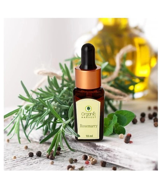 Organic Harvest Rosemary Essential Oil - 10ml