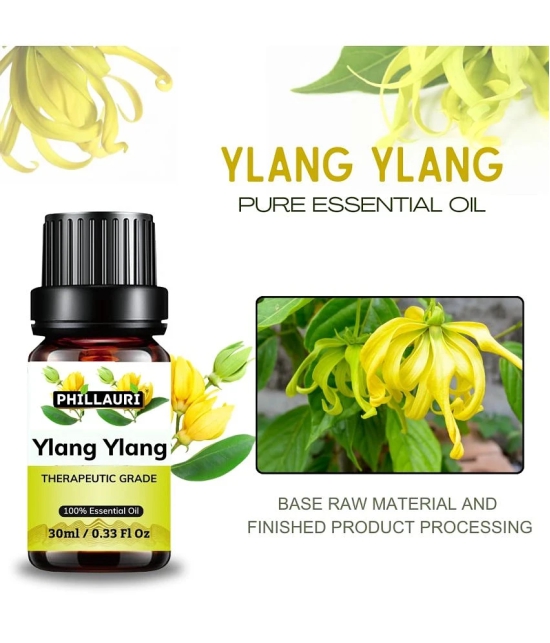 Phillauri Ylang-Ylang Others Essential Oil Fruity With Dropper 60 mL ( Pack of 2 )