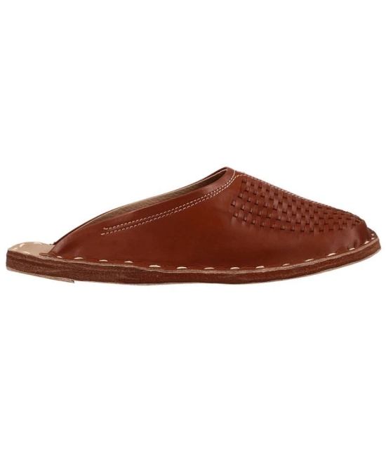 Apratim Brown Mens Mule - None