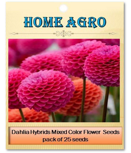 homeagro - Dahlia Mixed Flower ( 25 Seeds )