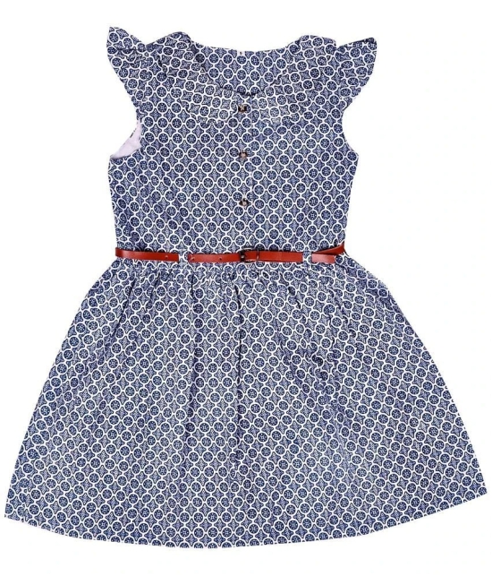 Arshia Fashions Blue Cotton Blend Girls Frock ( Pack of 1 ) - None