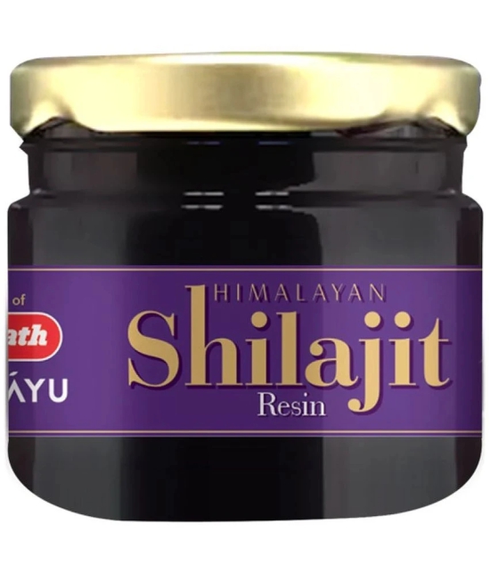 Baidyanath Himalayan Shilajit Resin 20gm - 100% Ayurvedic | Performance Booster For Endurance and Stamina