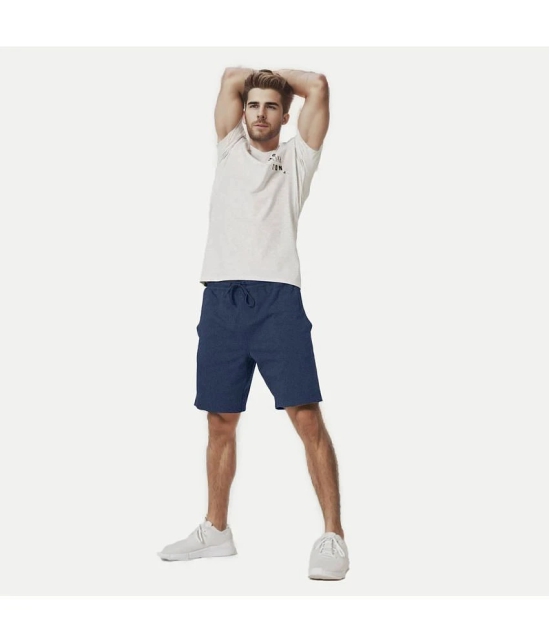 Radprix Blue Cotton Mens Shorts ( Pack of 1 ) - None