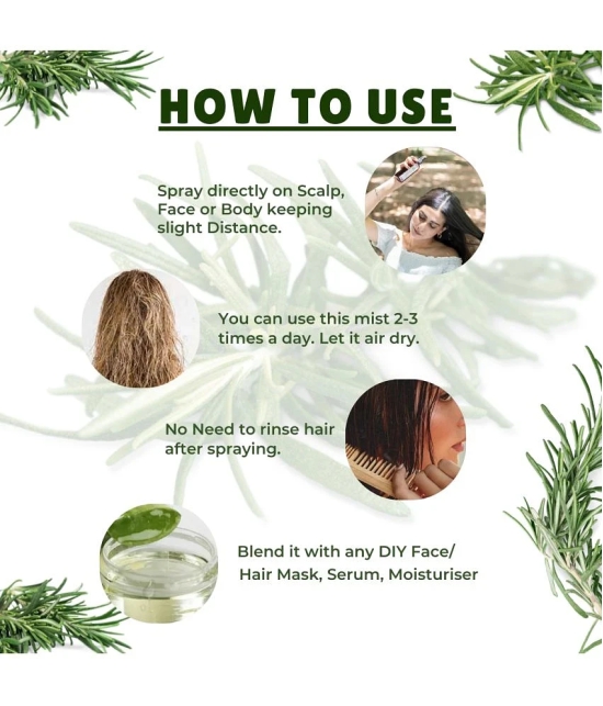 Rosemary Water for hair | Spray for Regrowth