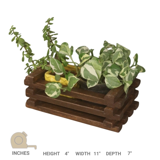 Planter Crate Type