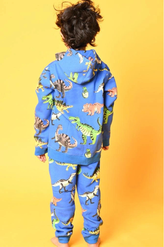 DINOSAUR FLEECE HOODIE SWEATSHIRT - BLUE-5-6 YEARS / 1N / BLUE