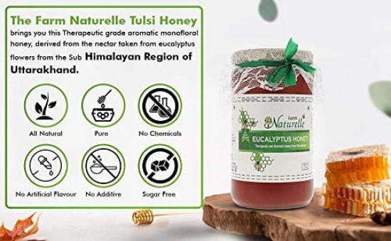 Farm Naturelle-Eucalyptus Forest 100% Pure Raw Un-Processed Honey 400 GMS with Cinnamon Honey and a Wooden Spoon.