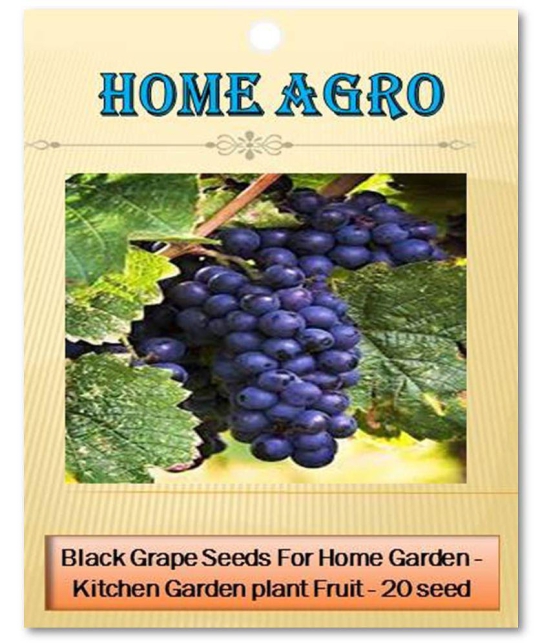 homeagro - Fruit Seeds ( 20 seeds )