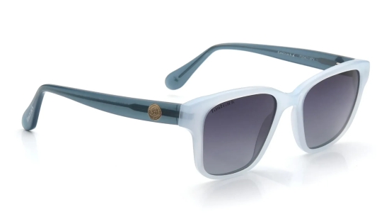 Grey Wayfarer Sunglasses for Men and Women