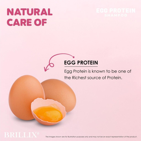 BRILLIX EGG PROTEIN SHAMPOO - For Long, Strong, Moisturizing & Shiny Hair, 300 ml