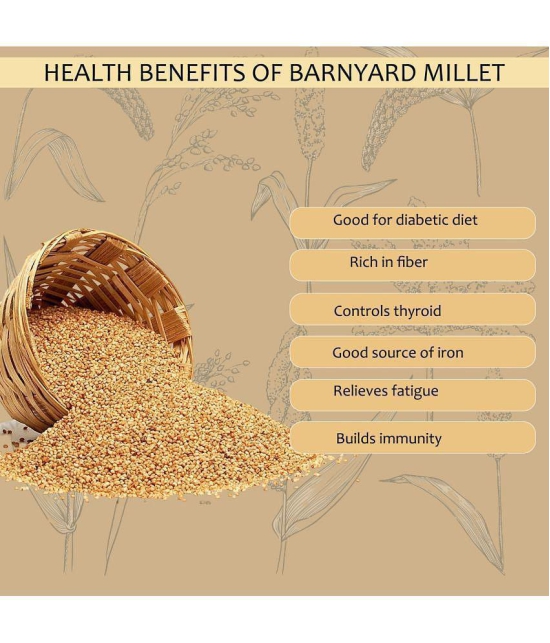 Hillpure Organic Barnyard Millet 1 kg