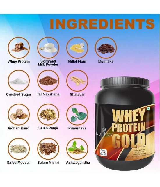 Nutriley Whey Gold Whey Protein ( 500 gm , American Icecream - Flavour )