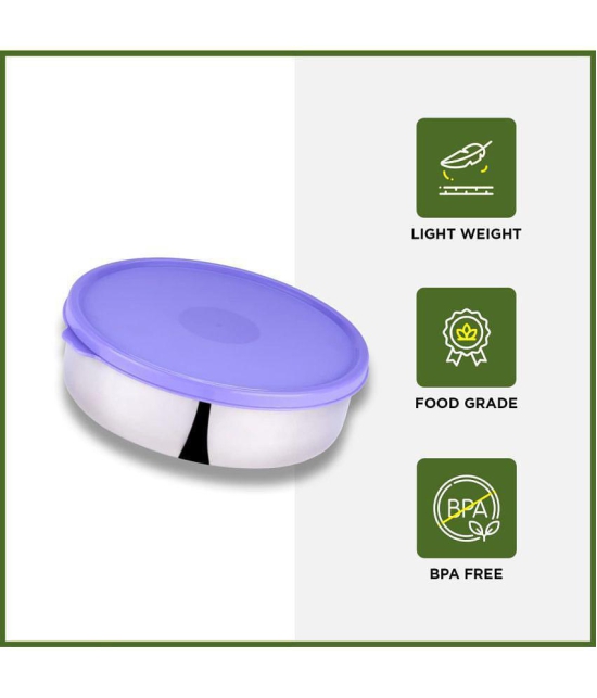 Oliveware Steel Purple Food Container ( Set of 1 ) - Purple