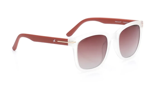 Brown Wayfarer Sunglasses for Unisex