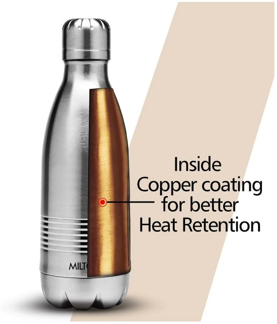 Milton Duo DLX 350 Thermosteel 24 Hours Hot and Cold Water Bottle, 350 ml, Silver - Silver