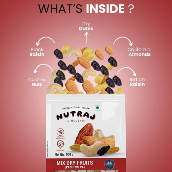 Nutraj Mix Dry Fruits Panchmeva 500g