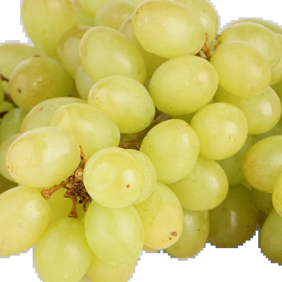 Green - Grapes (Thompson), 500 gms