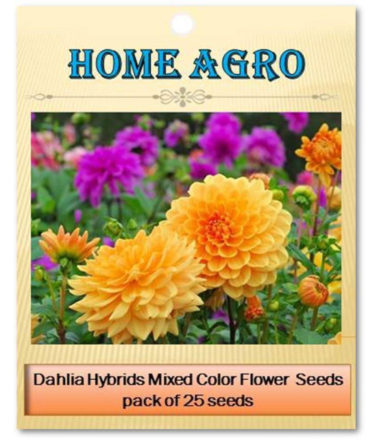 homeagro - Dahlia Mixed Flower ( 25 Seeds )