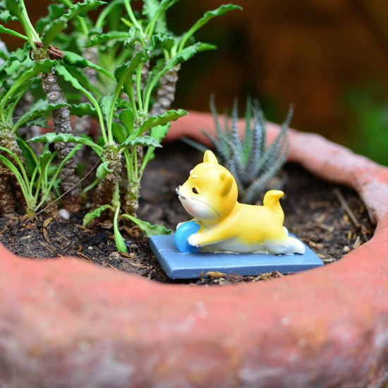 Miniature Cute Corgi Dog doing Yoga