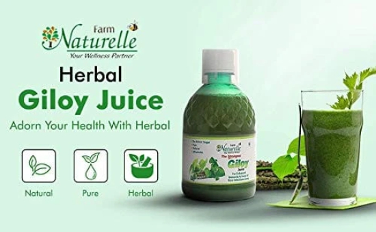 Farm Naturelle ? 100 % Pure Herbal Giloy Juice Enhances Body Immunity 400Ml x 2 and Infused Honey 55g x 2