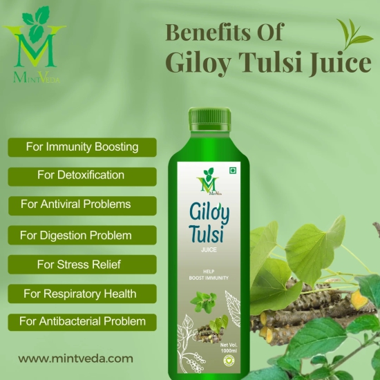 Mint veda 100% Natural Herbal Giloy Tulsi Juice | Fresh Giloy and Tulsi to Boost Immunity | No added Sugar Healthy Giloy Tulsi Juice, 1Lite Pack of 3