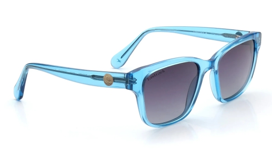 Grey Wayfarer Sunglasses for Men and Women