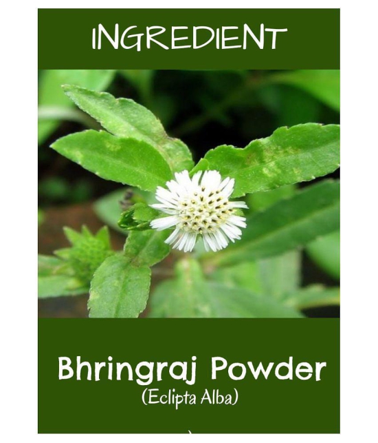 MR Ayurveda 100% Pure Fenugreek Powder and Bhringraj Powder Hair Scalp Treatment 200 g Pack of 2