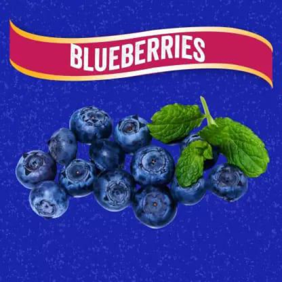 Jewel Farmer American Dried Blueberry (200 g)