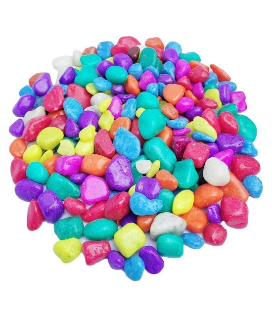 Somil Multicolor Pabbles/Stone For Garden, Plants, Aquarium & Home Decor Wt. 450g