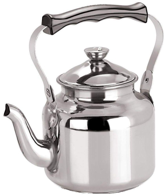 Dynore Tea/Coffee Kettle Steel Kettle 800 ml - Silver