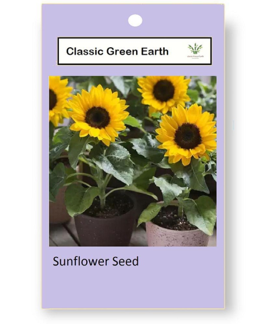 CLASSIC GREEN EARTH - Sunflower Flower ( 20 Seeds )