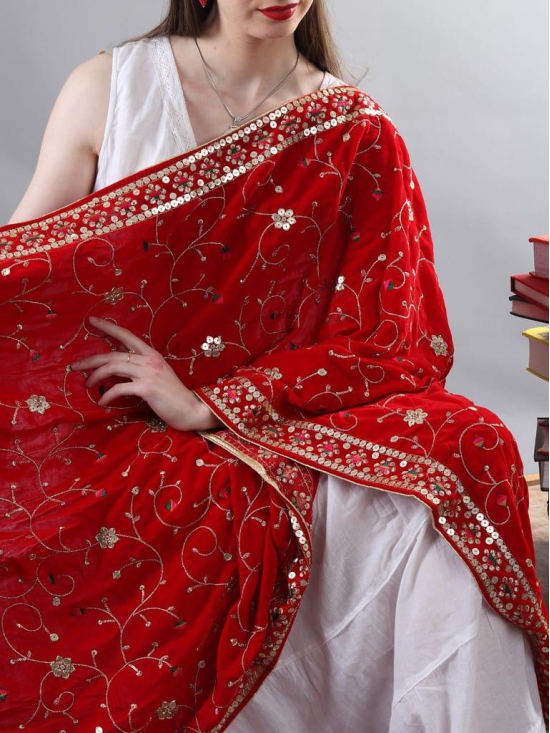 Red Zari Embroidered Bail With Sequinned Flowers and Multicolour Thread Kite On Velvet Dupatta From Amritsar