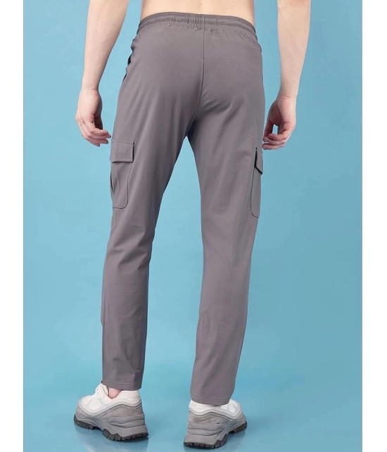 PPTHEFASHIONHUB Grey Lycra Mens Trackpants ( Pack of 1 ) - None