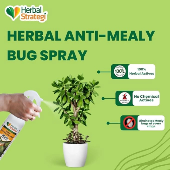 Herbal Strategi Anti-Mealy Bug Repellent Spray - Natural, Vegan & Eco-Friendly | 100% Herbal and Chemical free | Baby and Pet safe | Ayush certified (500 ML)