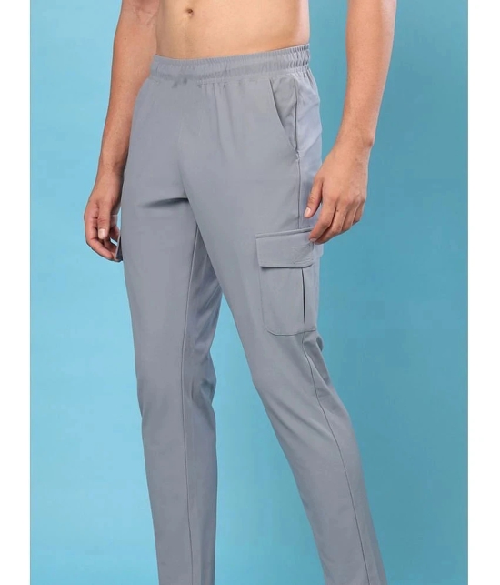 PPTHEFASHIONHUB Grey Lycra Mens Trackpants ( Pack of 1 ) - None