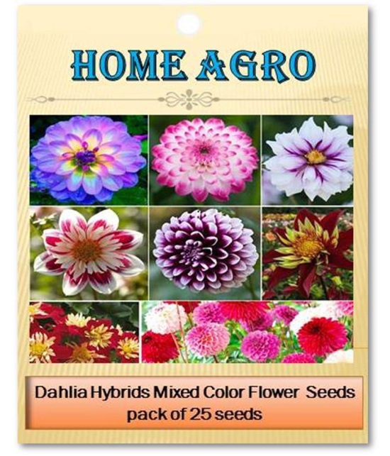 homeagro - Dahlia Mixed Flower ( 25 Seeds )