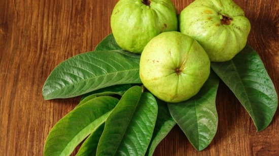 Guava Leaf Dip Tea - Rich in Antioxidants - Helps lower blood sugar levels - Immune Boosting