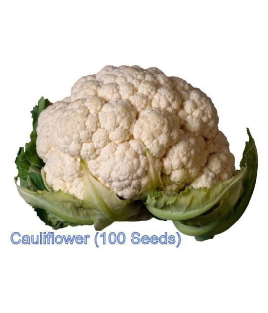 Super Saver Combo of 4 Hybrid Vegetables (Cabbage, Cauliflower, White Radish & Red Carrot) F1 HYBRID