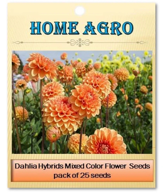 homeagro - Dahlia Mixed Flower ( 25 Seeds )