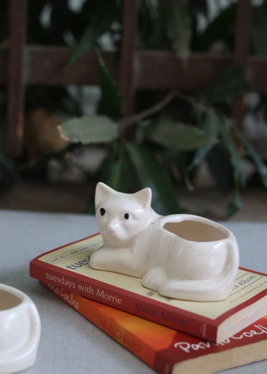 Cat Succulent Planter